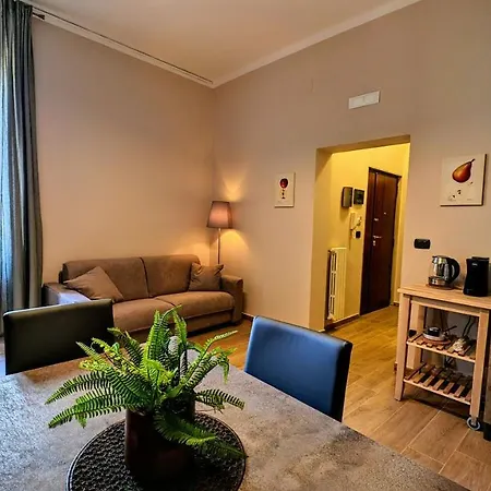 Sea Lion * 트라니